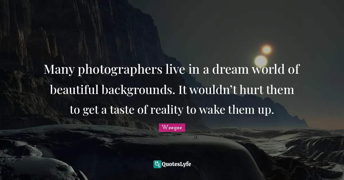 Many photographers live in a dream world of beautiful backgrounds. It wouldn’t hurt them to get a taste of reality to wake them up.