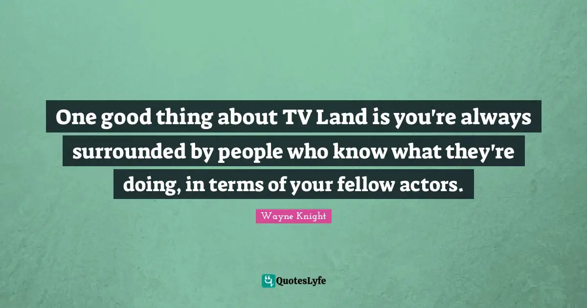 One good thing about TV Land is you're always surrounded by people who know what they're doing, in terms of your fellow actors.