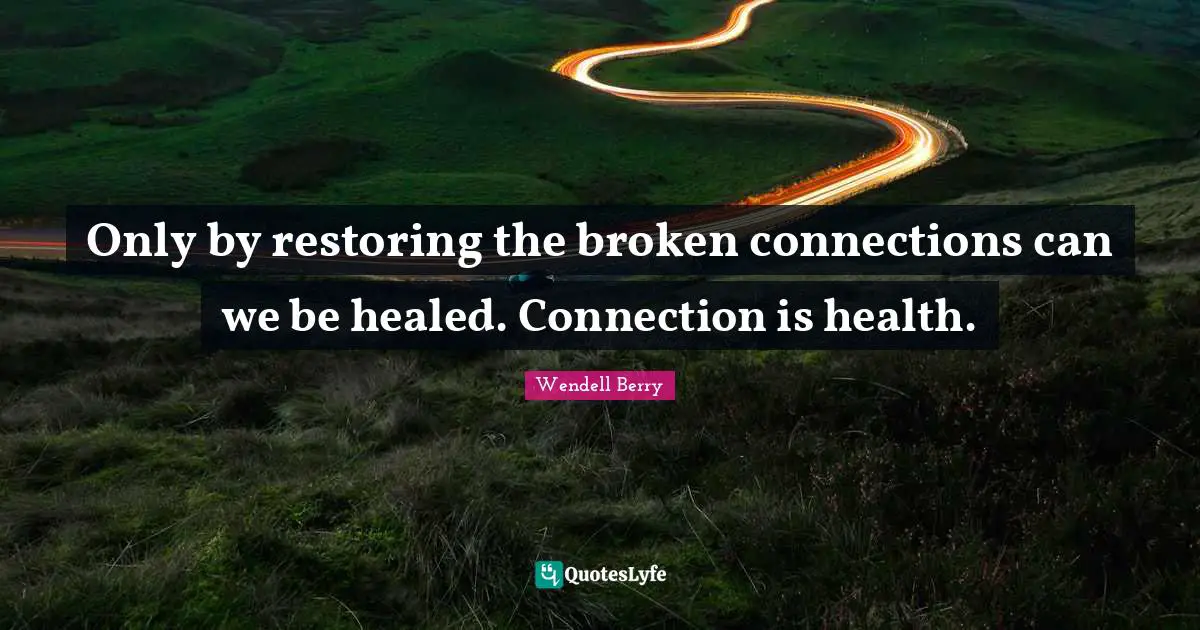 Only by restoring the broken connections can we be healed. Connection is health.