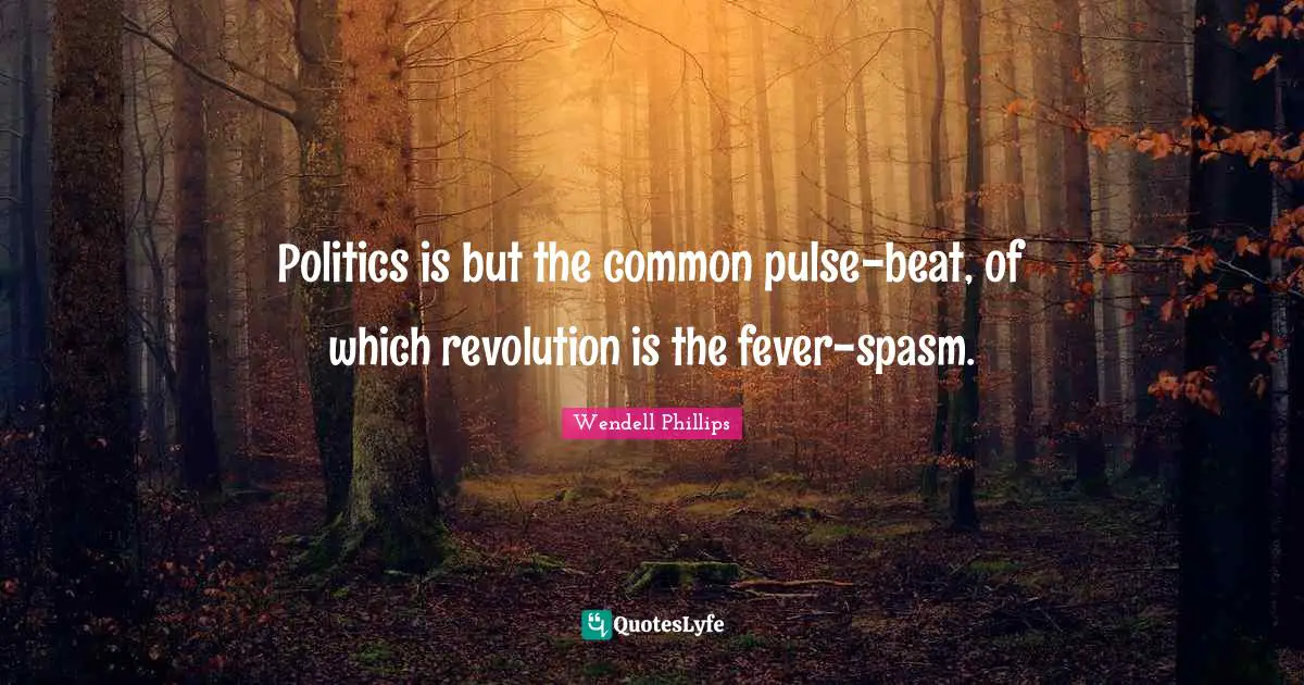 Politics is but the common pulse-beat, of which revolution is the fever-spasm.