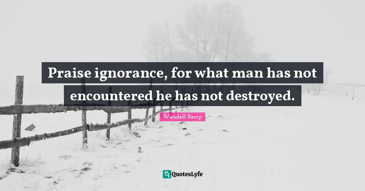 Praise ignorance, for what man has not encountered he has not destroyed.