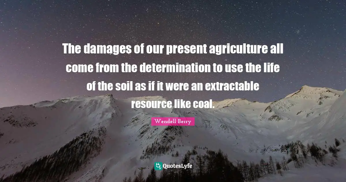 The damages of our present agriculture all come from the determination to use the life of the soil as if it were an extractable resource like coal.