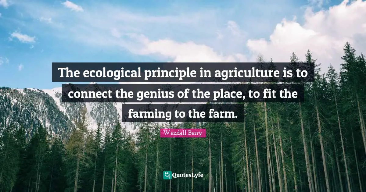 The ecological principle in agriculture is to connect the genius of the place, to fit the farming to the farm.