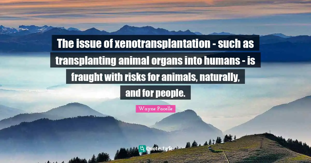 The issue of xenotransplantation - such as transplanting animal organs into humans - is fraught with risks for animals, naturally, and for people.