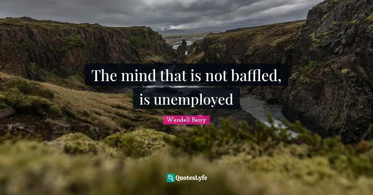 Baffled Quotes: "The mind that is not baffled, is unemployed"