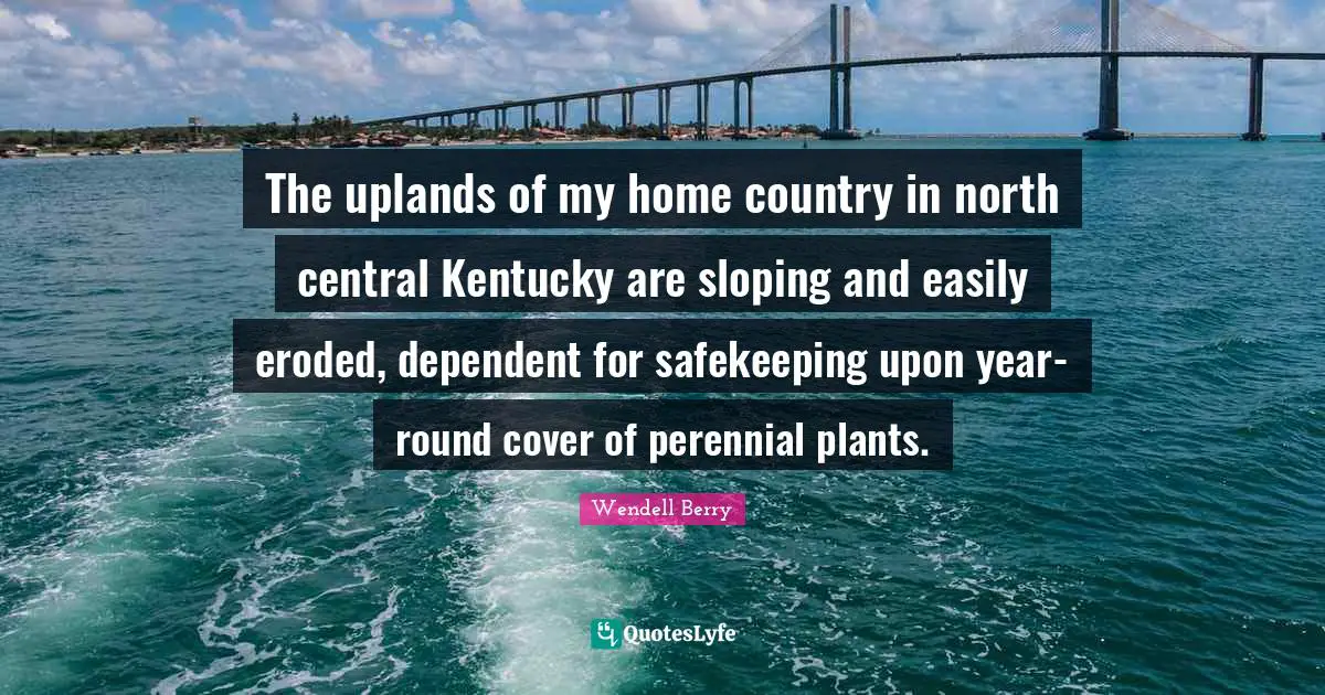 The uplands of my home country in north central Kentucky are sloping and easily eroded, dependent for safekeeping upon year-round cover of perennial plants.