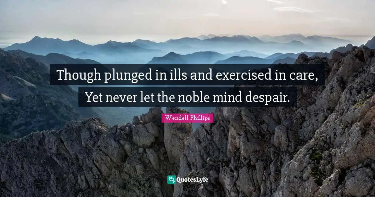 Though plunged in ills and exercised in care, Yet never let the noble mind despair.