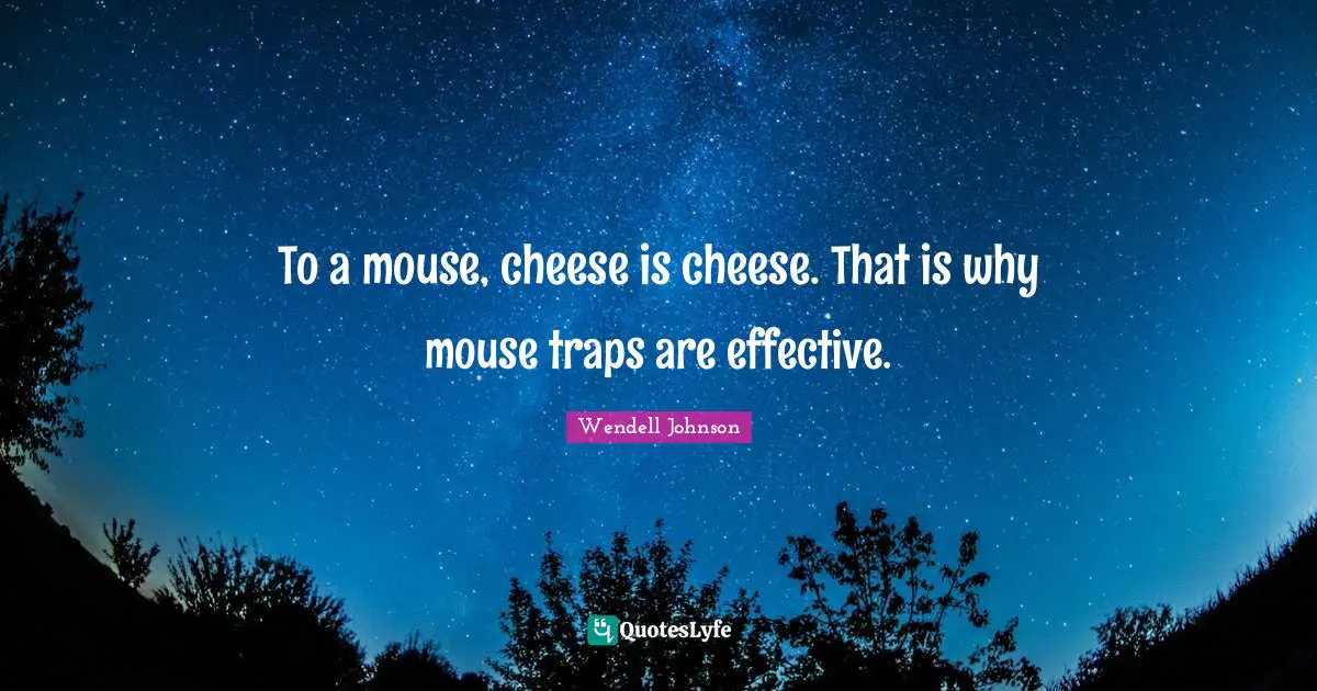 To a mouse, cheese is cheese. That is why mouse traps are effective.