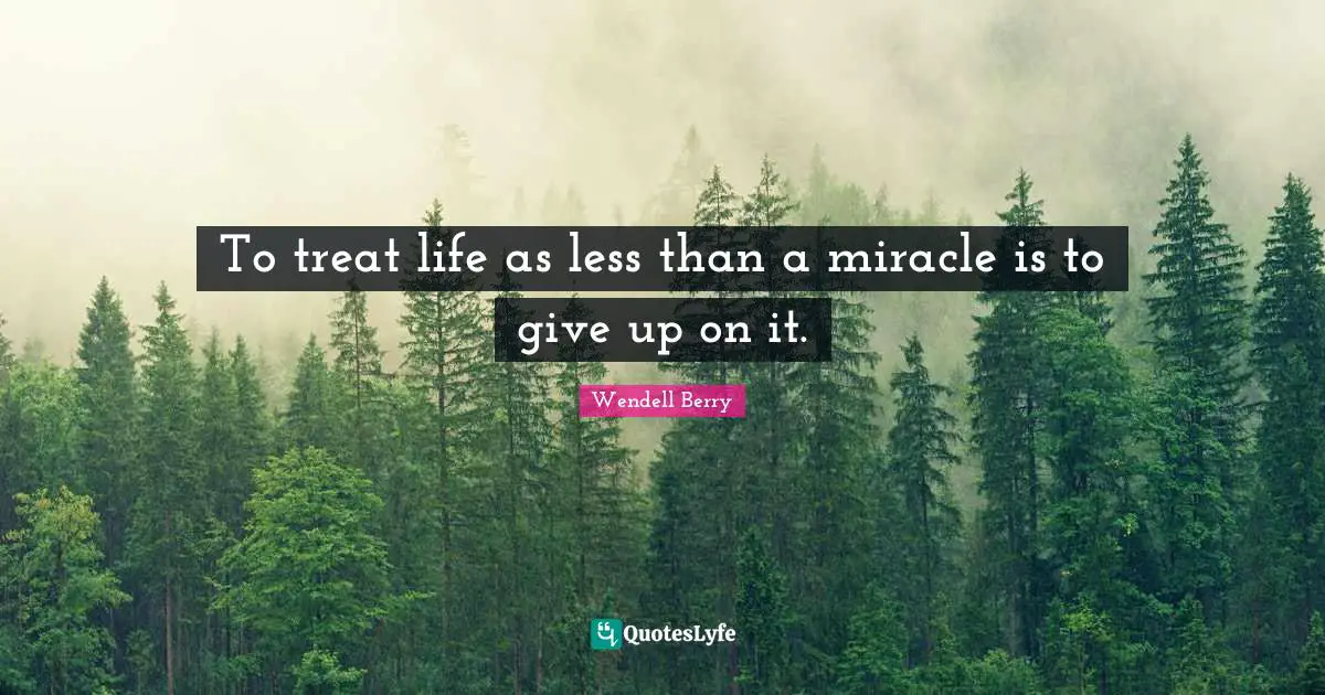 To treat life as less than a miracle is to give up on it.