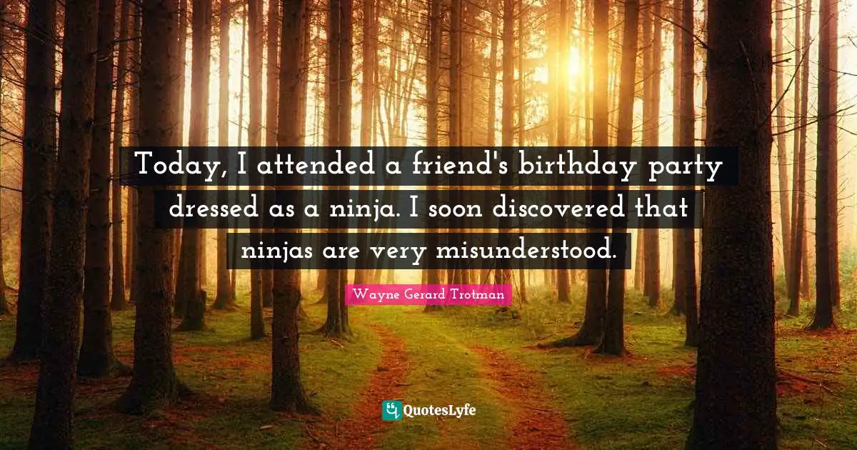 Today, I attended a friend's birthday party dressed as a ninja. I soon discovered that ninjas are very misunderstood.