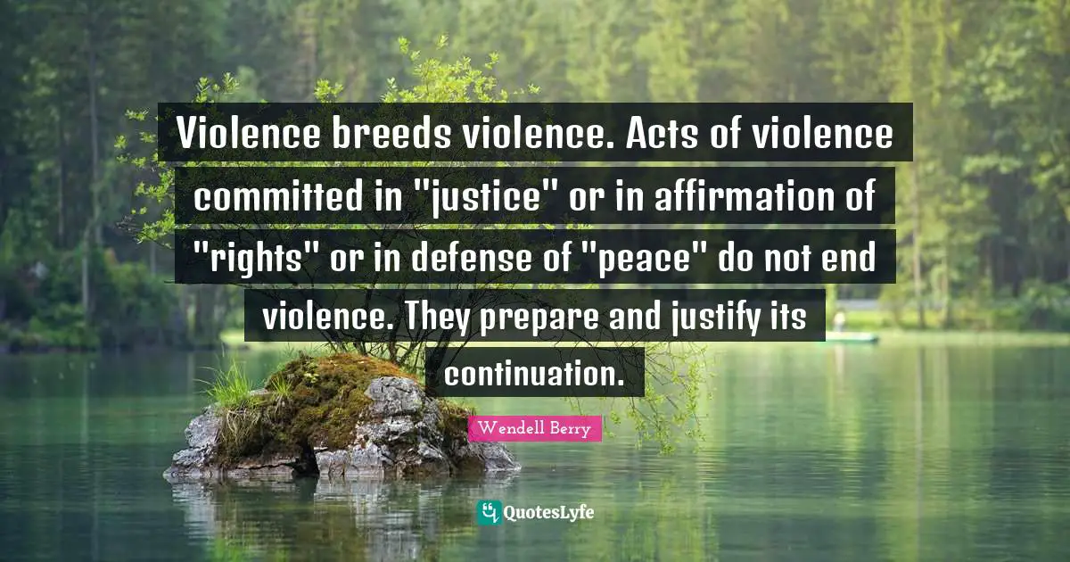Violence breeds violence. Acts of violence committed in "justice" or in affirmation of "rights" or in defense of "peace" do not end violence. They prepare and justify its continuation.