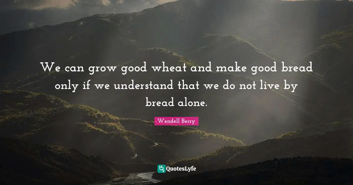 We can grow good wheat and make good bread only if we understand that we do not live by bread alone.