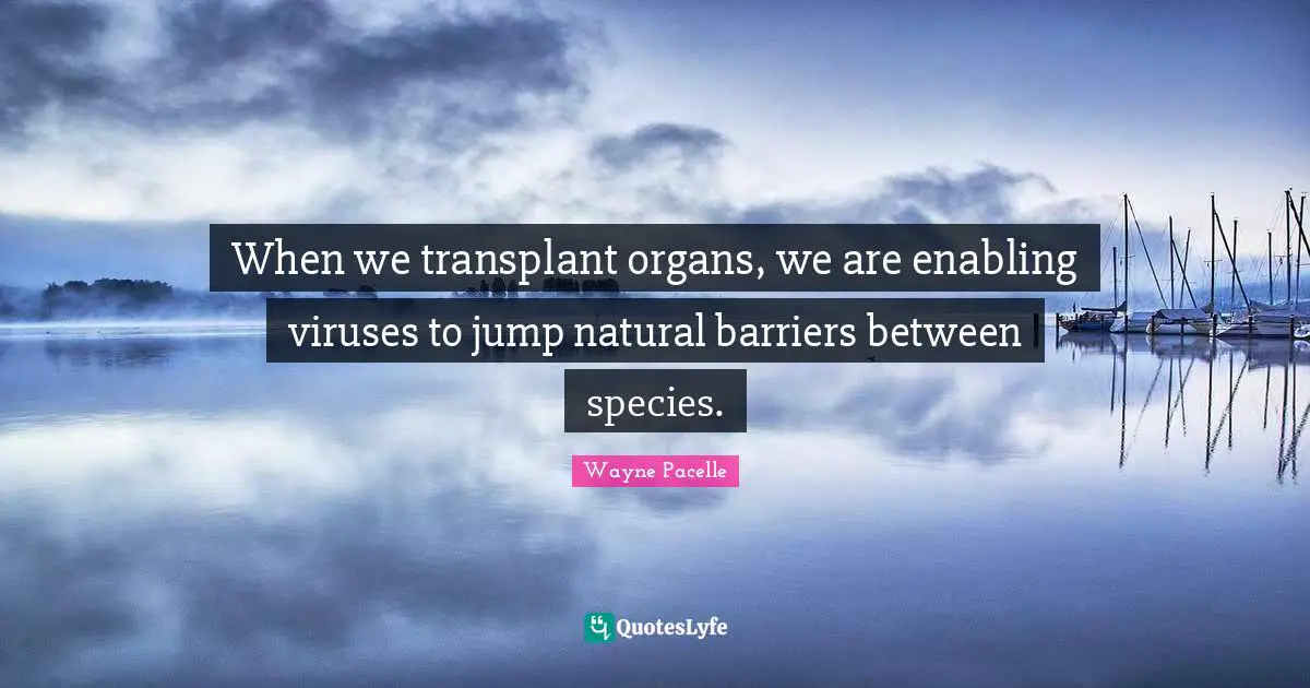 Enabling Quotes: "When we transplant organs, we are enabling viruses to jump natural barriers between species."