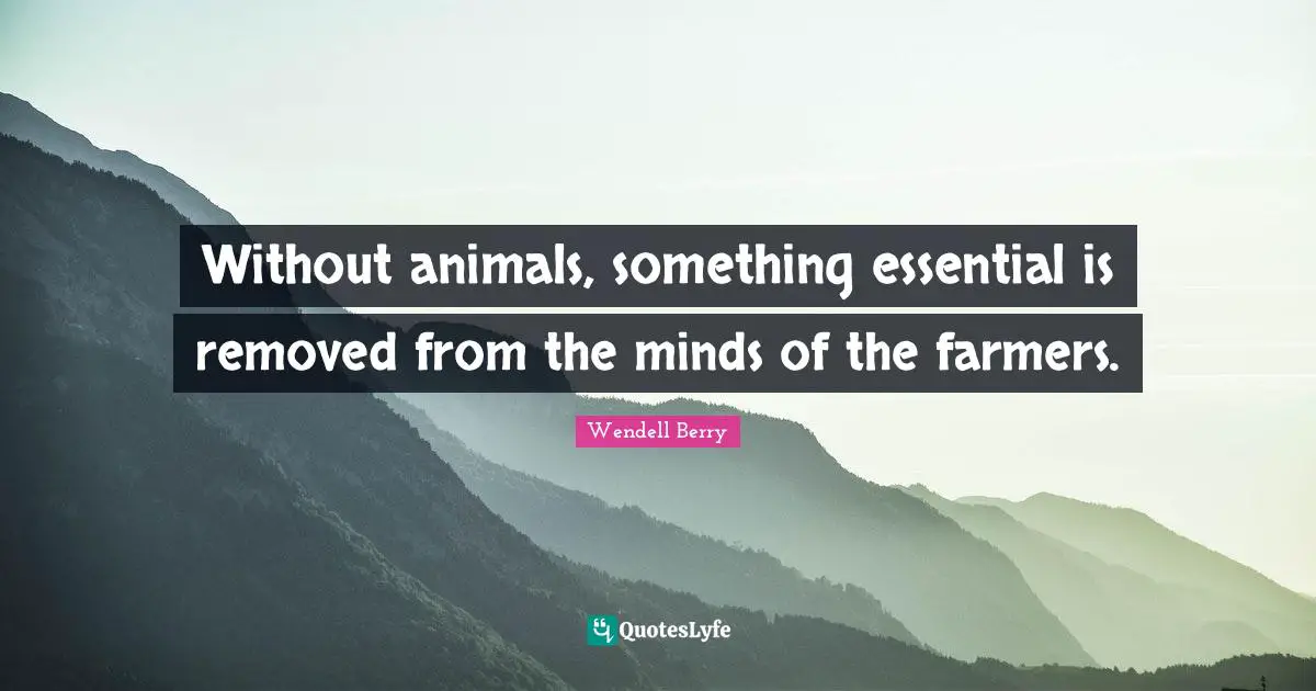 Without animals, something essential is removed from the minds of the farmers.