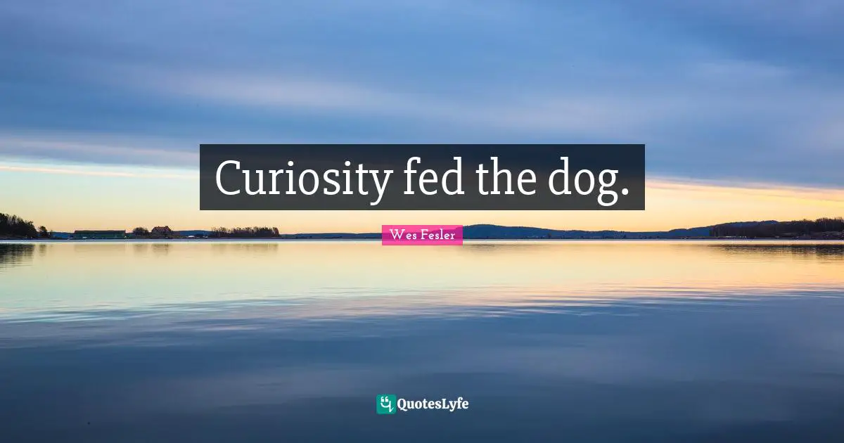 Curiosity fed the dog.