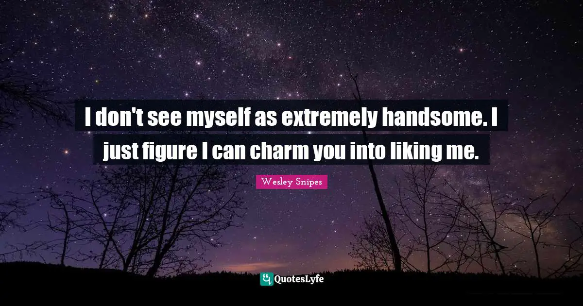 I Can Quotes: "I don't see myself as extremely handsome. I just figure I can charm you into liking me."