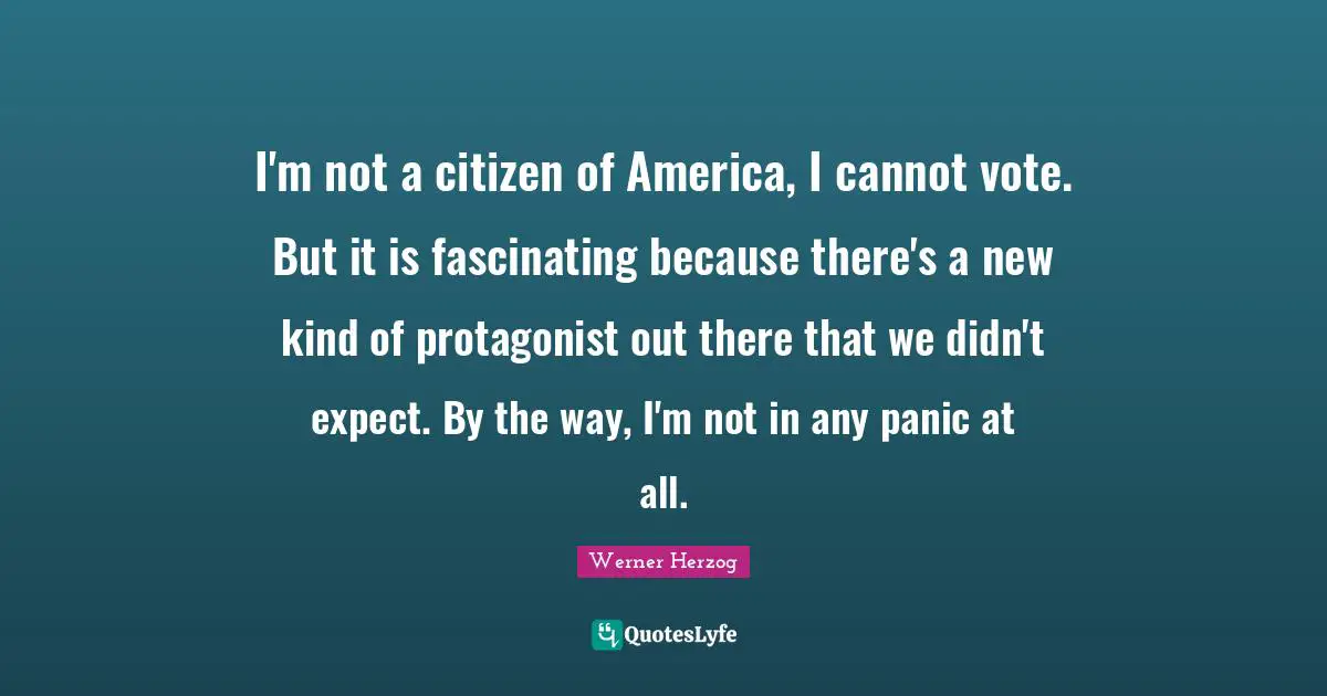 I'm not a citizen of America, I cannot vote. But it is fascinating because there's a new kind of protagonist out there that we didn't expect. By the way, I'm not in any panic at all.