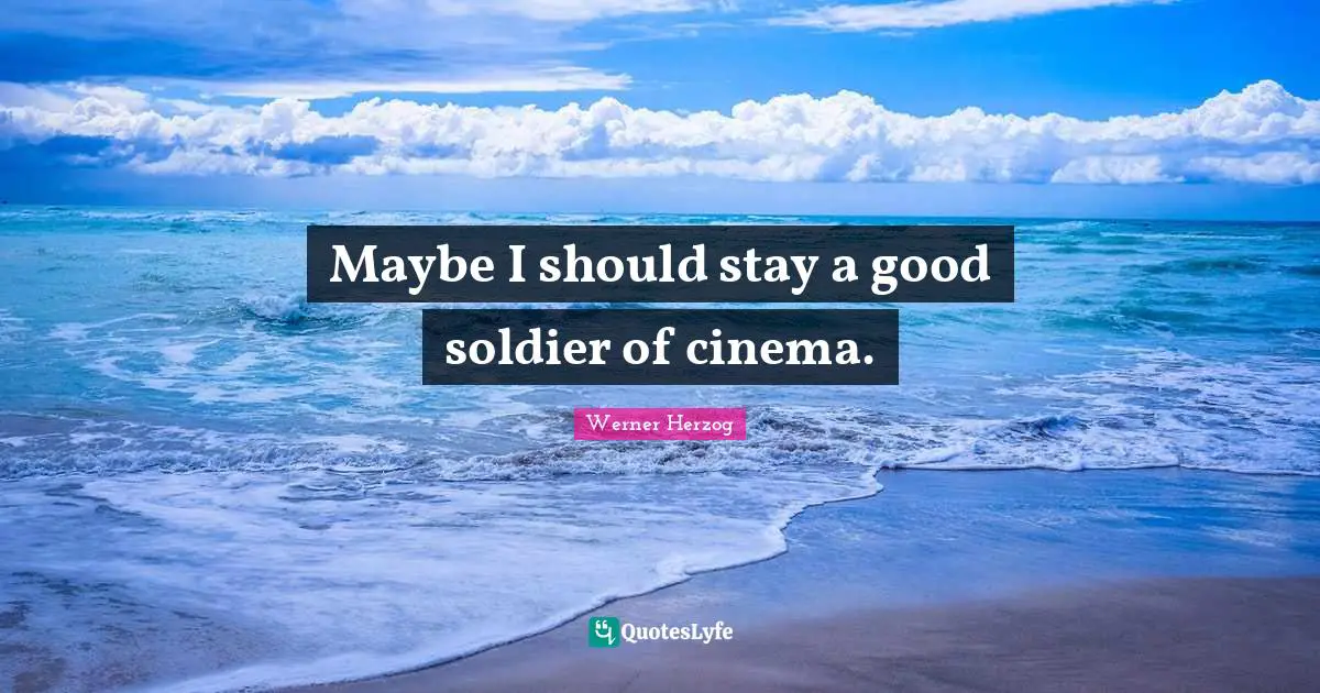 Maybe I should stay a good soldier of cinema.