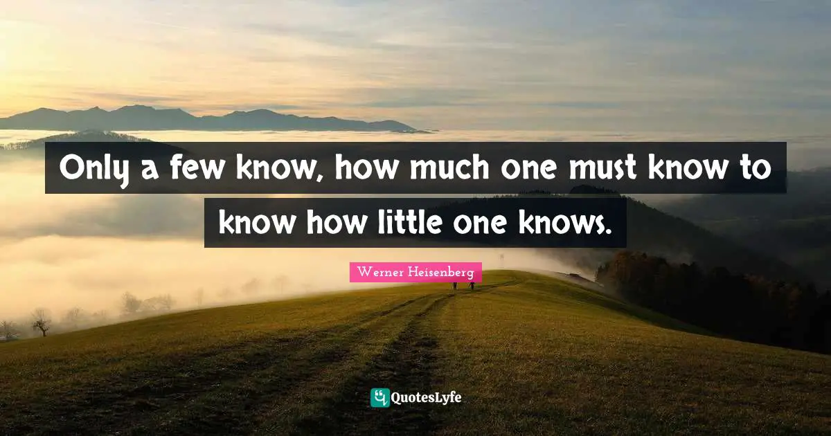 Only a few know, how much one must know to know how little one knows.