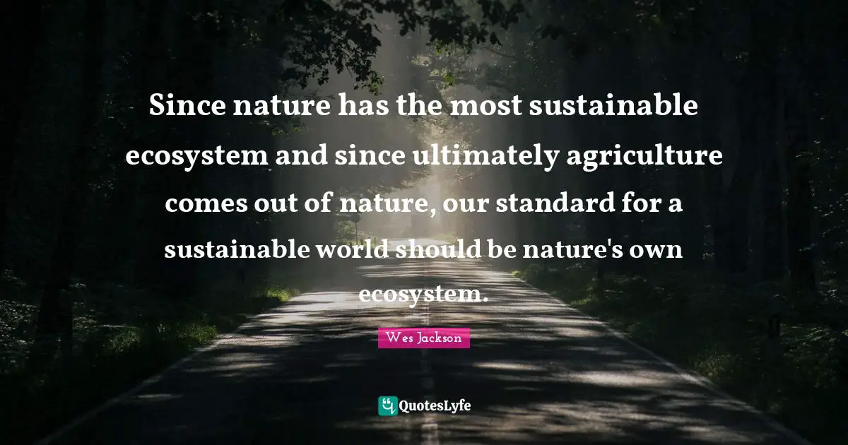 Since nature has the most sustainable ecosystem and since ultimately agriculture comes out of nature, our standard for a sustainable world should be nature's own ecosystem.