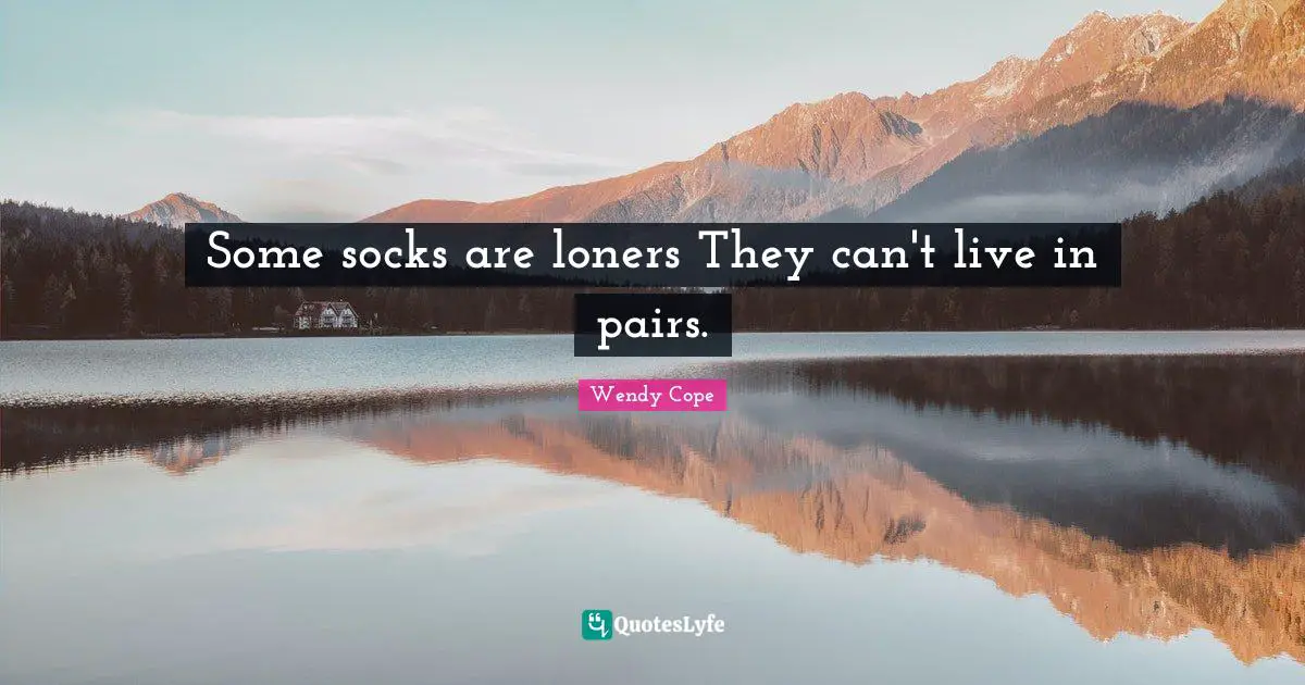 Some socks are loners They can't live in pairs.