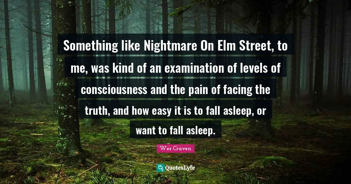 Something like Nightmare On Elm Street, to me, was kind of an examination of levels of consciousness and the pain of facing the truth, and how easy it is to fall asleep, or want to fall asleep.