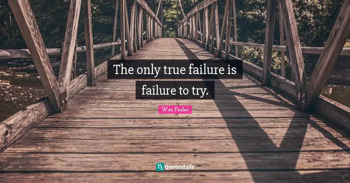 The only true failure is failure to try.