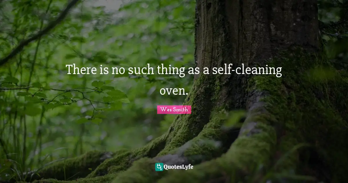 There is no such thing as a self-cleaning oven.