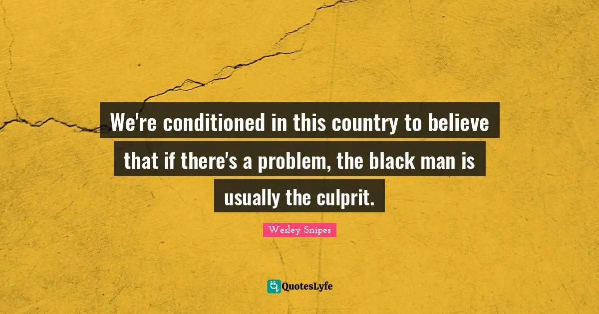 We're conditioned in this country to believe that if there's a problem, the black man is usually the culprit.
