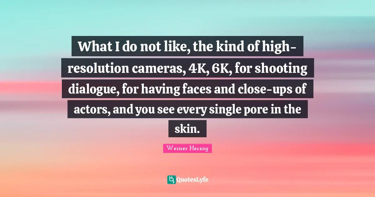 What I do not like, the kind of high-resolution cameras, 4K, 6K, for shooting dialogue, for having faces and close-ups of actors, and you see every single pore in the skin.