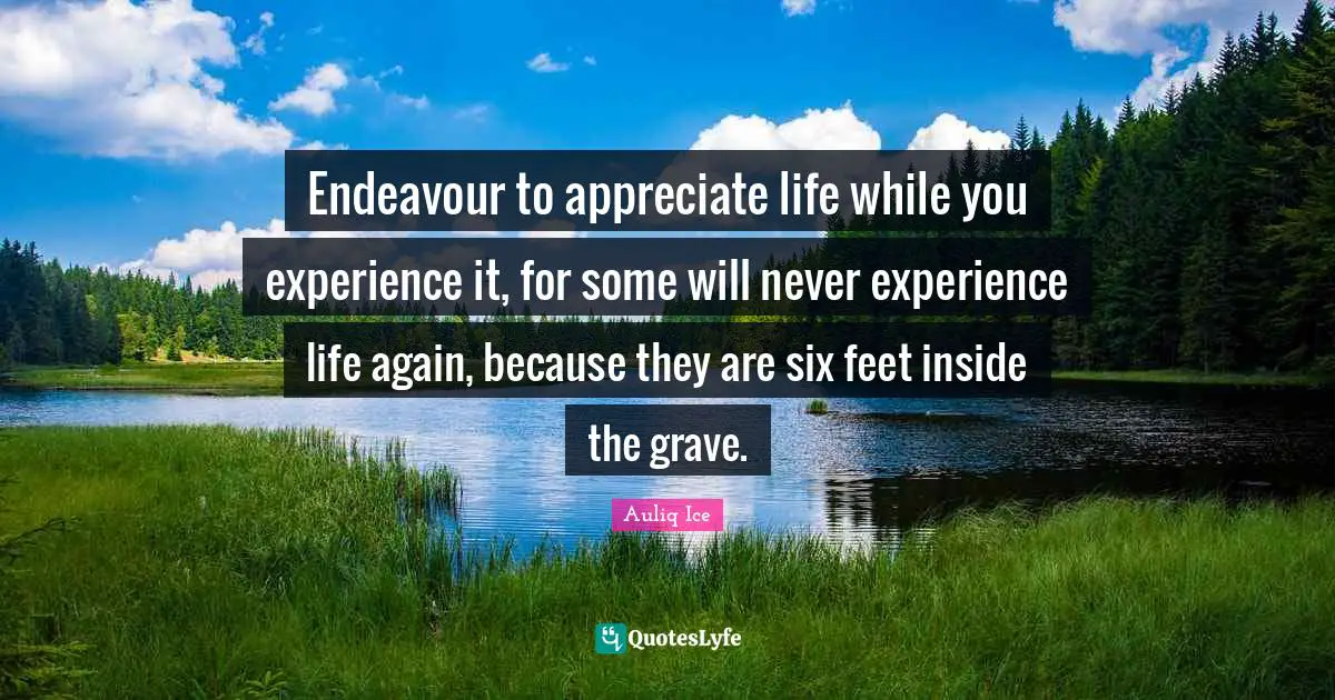 Endeavour to appreciate life while you experience it, for some will never experience life again, because they are six feet inside the grave.