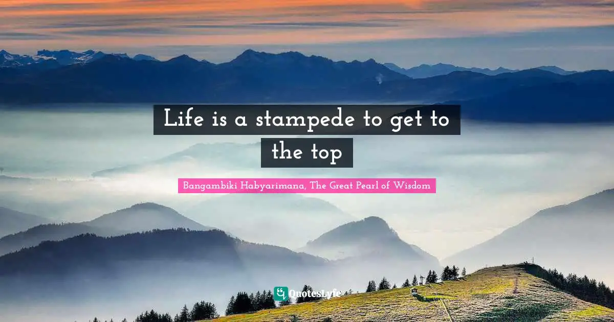 Source Of Life Quotes: "Life is a stampede to get to the top"