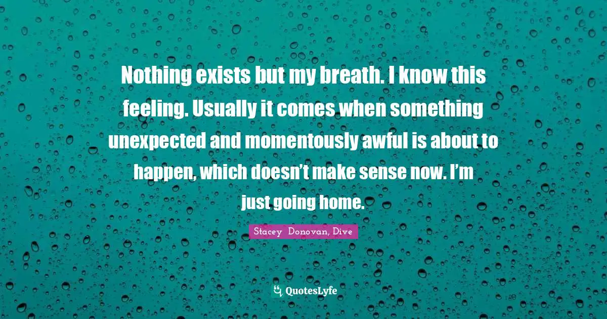 Nothing exists but my breath. I know this feeling. Usually it comes when something unexpected and momentously awful is about to happen, which doesn’t make sense now. I’m just going home.