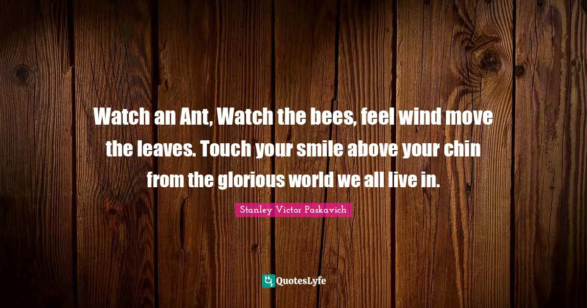 Watch an Ant, Watch the bees, feel wind move the leaves. Touch your smile above your chin from the glorious world we all live in.