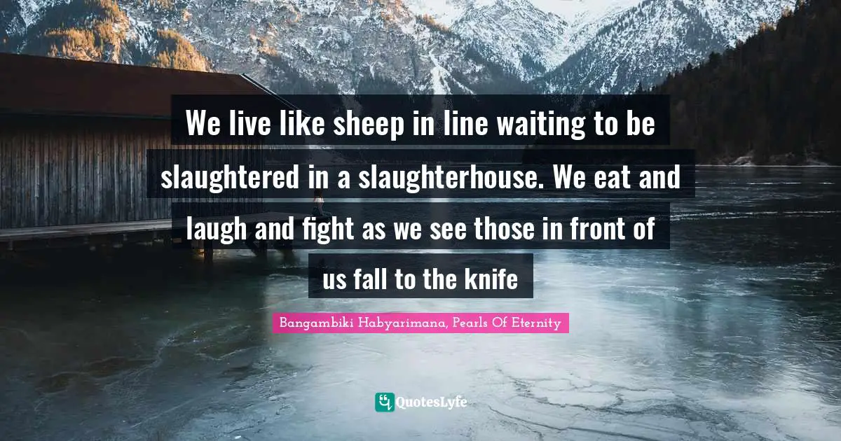 Bangambiki Habyarimana, Pearls Of Eternity Quotes: We live like sheep in line waiting to be slaughtered in a slaughterhouse. We eat and laugh and fight as we see those in front of us fall to the knife