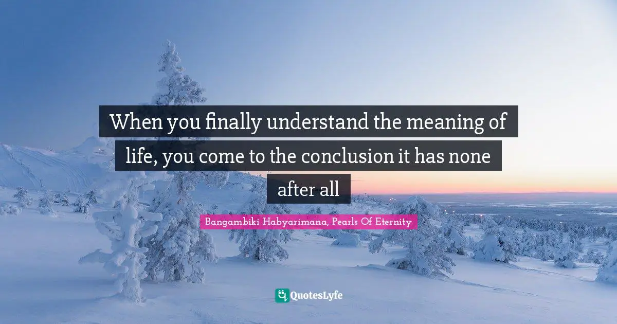 Bangambiki Habyarimana, Pearls Of Eternity Quotes: When you finally understand the meaning of life, you come to the conclusion it has none after all