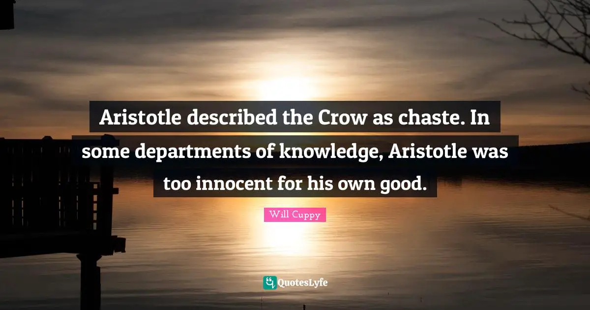 Aristotle described the Crow as chaste. In some departments of knowledge, Aristotle was too innocent for his own good.