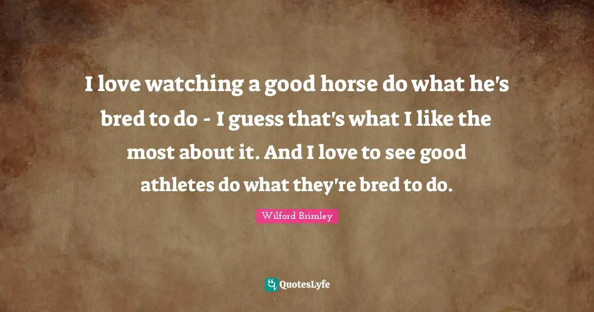 Athlete Quotes: "I love watching a good horse do what he's bred to do - I guess that's what I like the most about it. And I love to see good athletes do what they're bred to do."