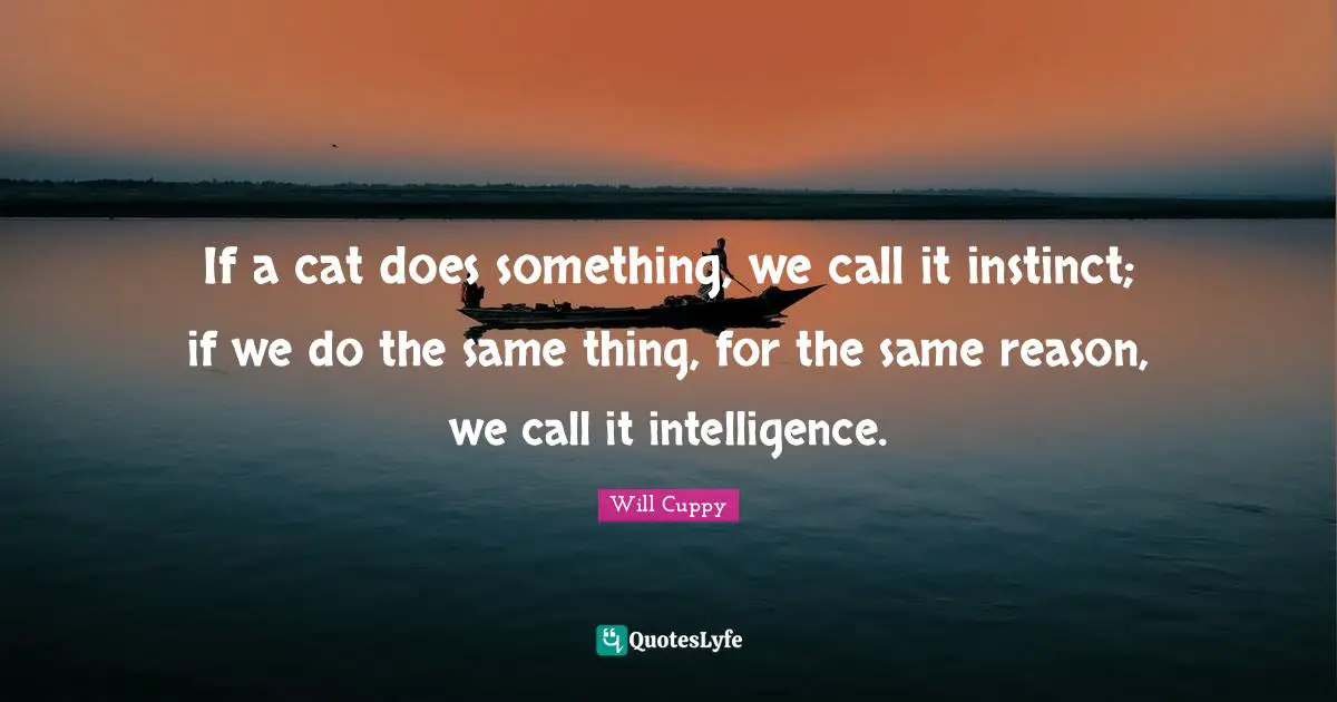 Cat Quotes: "If a cat does something, we call it instinct; if we do the same thing, for the same reason, we call it intelligence."