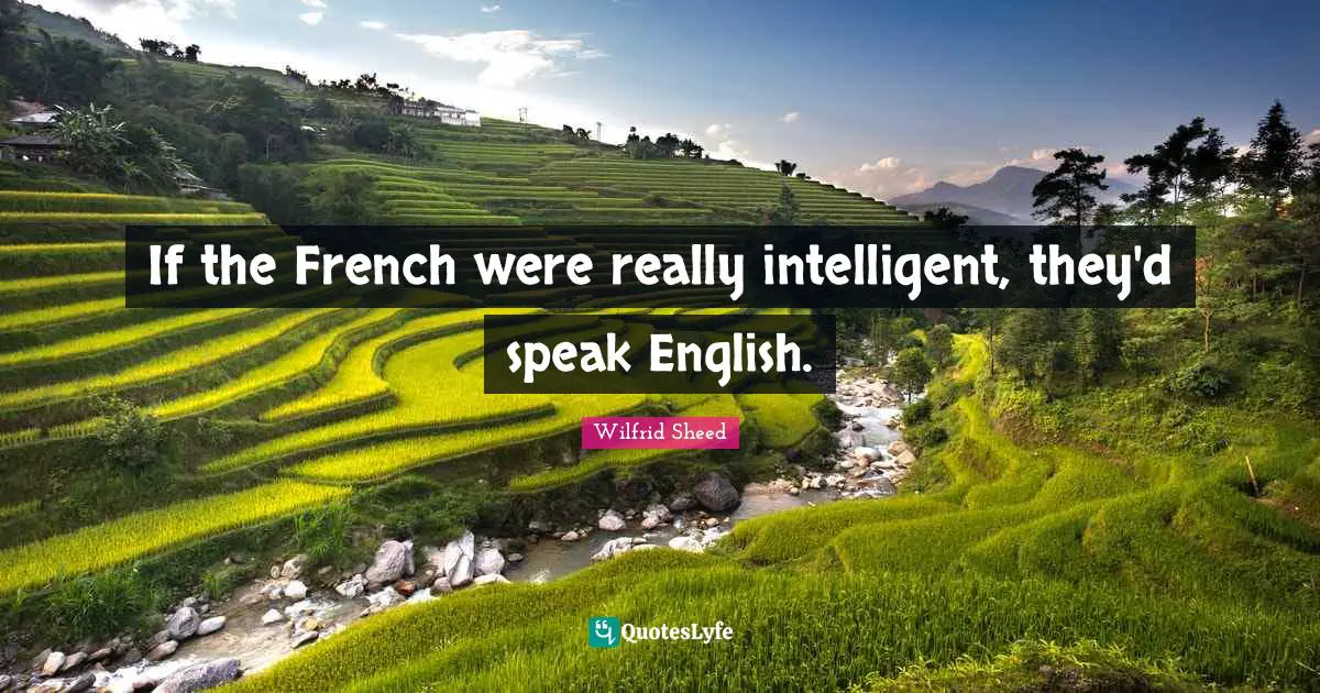 If the French were really intelligent, they'd speak English.