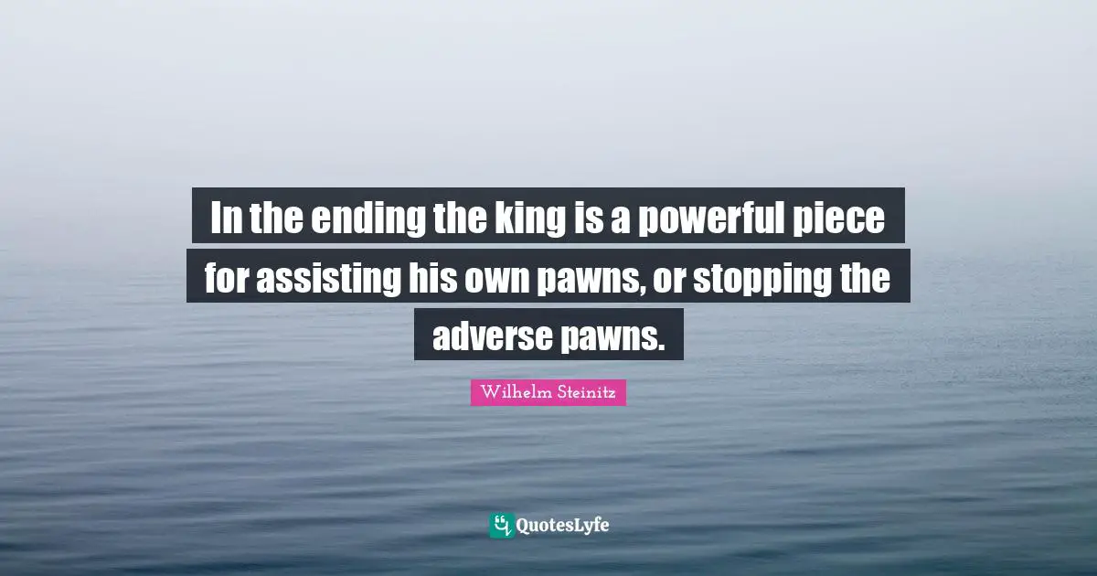 In the ending the king is a powerful piece for assisting his own pawns, or stopping the adverse pawns.
