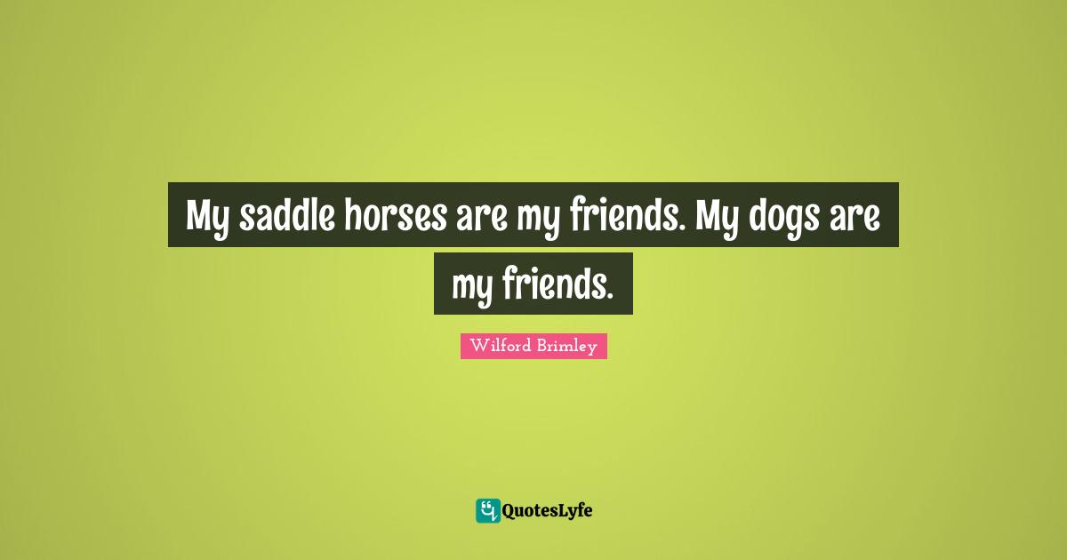My saddle horses are my friends. My dogs are my friends.