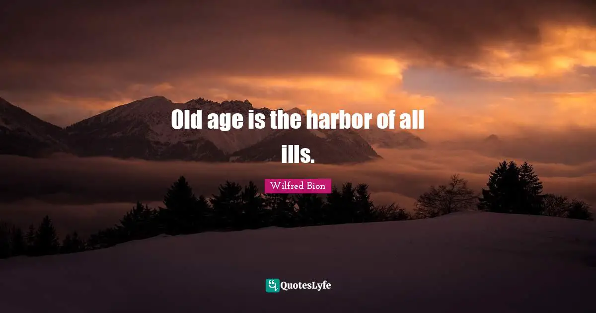 Old age is the harbor of all ills.
