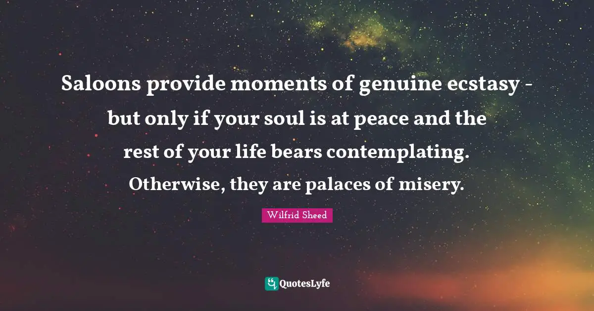 Saloons provide moments of genuine ecstasy - but only if your soul is at peace and the rest of your life bears contemplating. Otherwise, they are palaces of misery.
