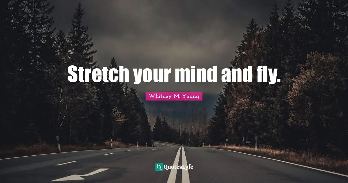 Whitney M. Young Quotes: "Stretch your mind and fly."
