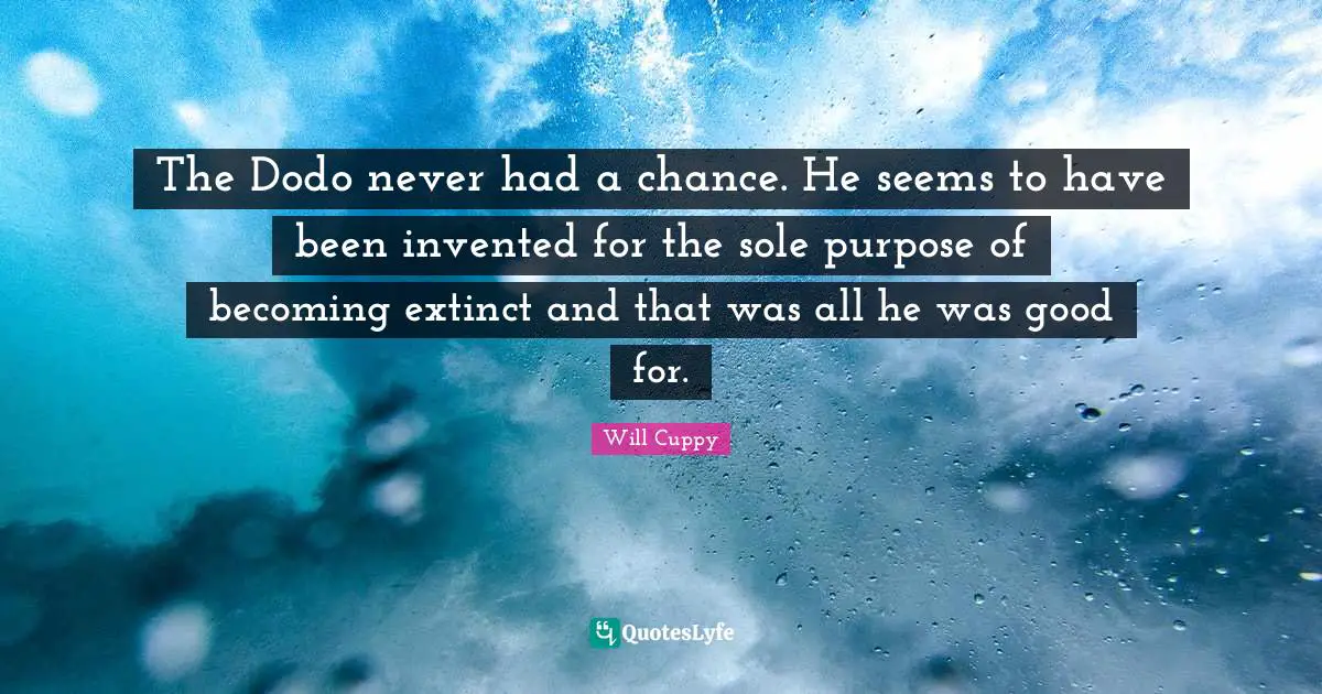 The Dodo never had a chance. He seems to have been invented for the sole purpose of becoming extinct and that was all he was good for.