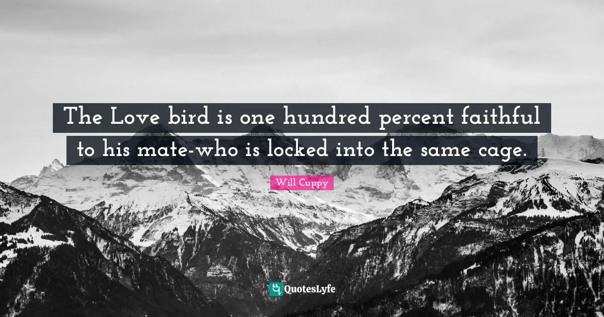 The Love bird is one hundred percent faithful to his mate-who is locked into the same cage.