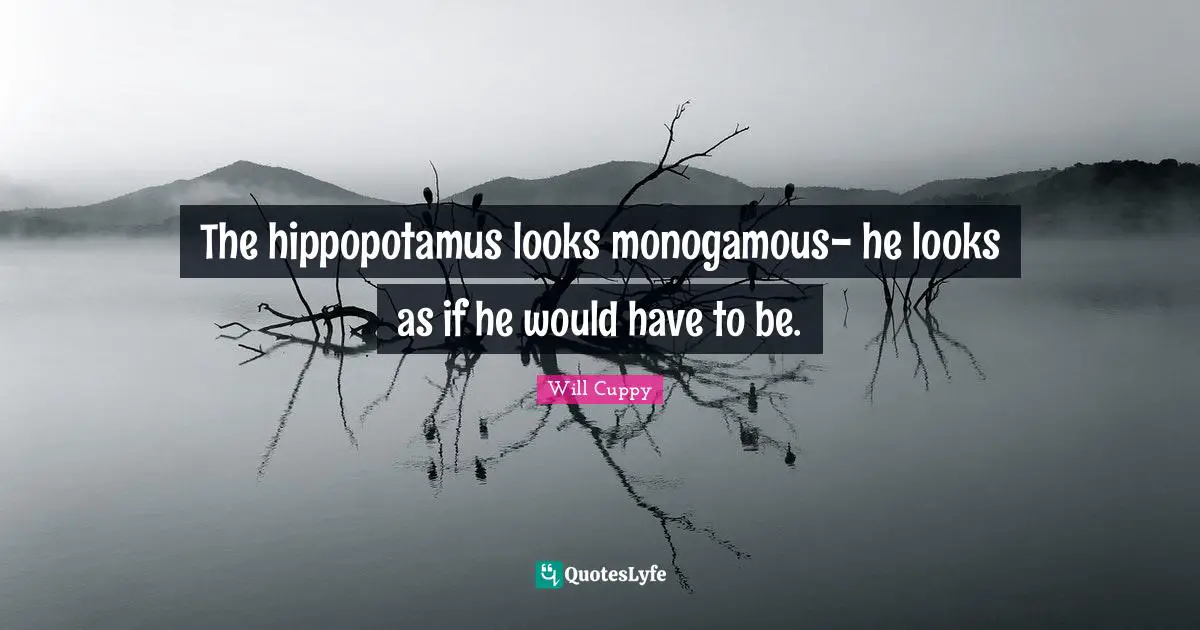 The hippopotamus looks monogamous- he looks as if he would have to be.