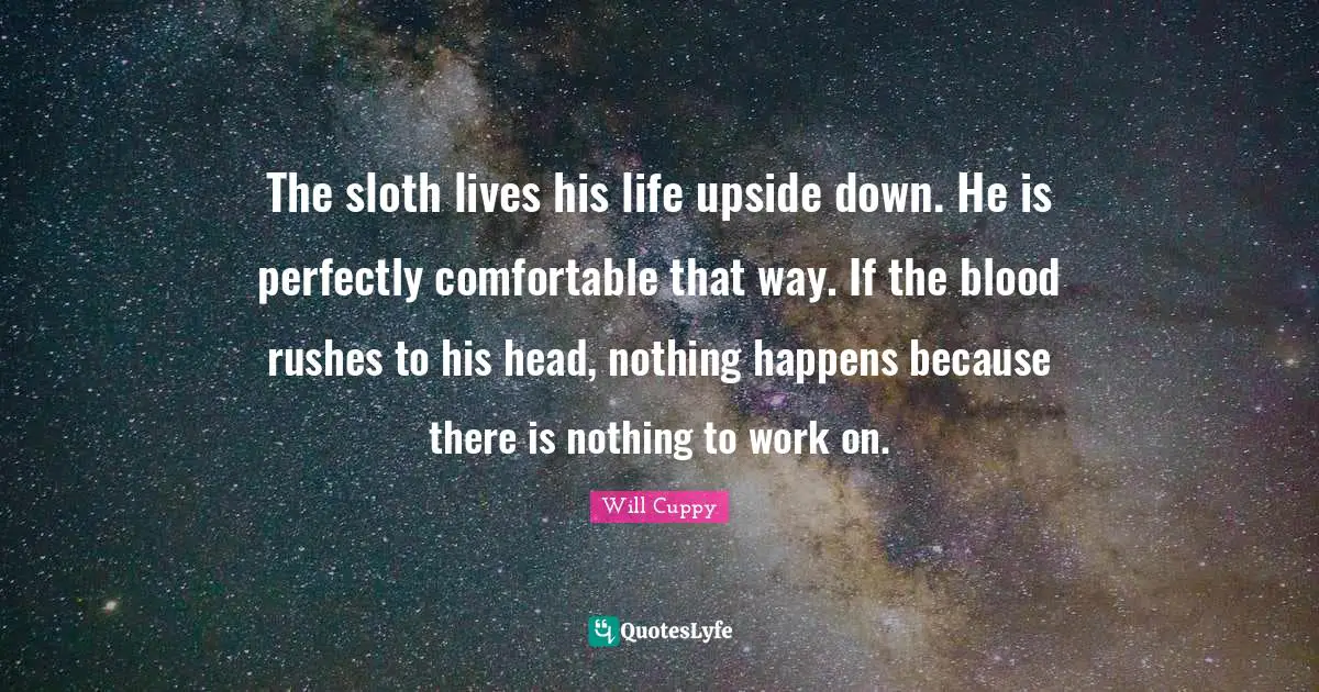 The sloth lives his life upside down. He is perfectly comfortable that way. If the blood rushes to his head, nothing happens because there is nothing to work on.