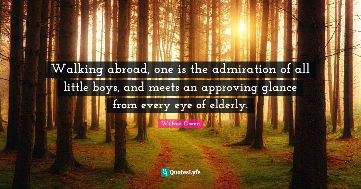 Walking abroad, one is the admiration of all little boys, and meets an approving glance from every eye of elderly.